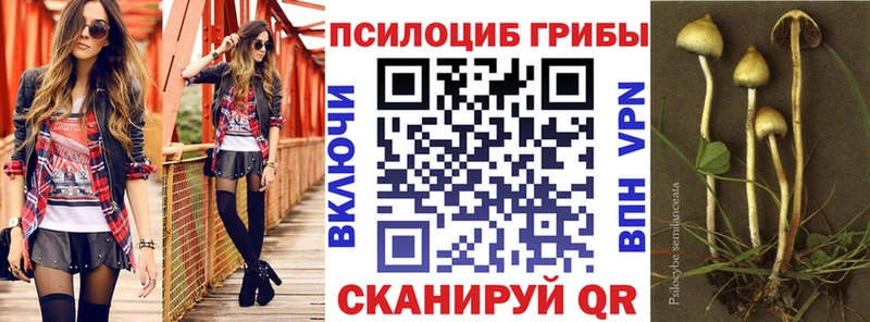 KRAKEN ссылки  где купить наркоту  Белозерск  Псилоцибиновые грибы Magic Shrooms 